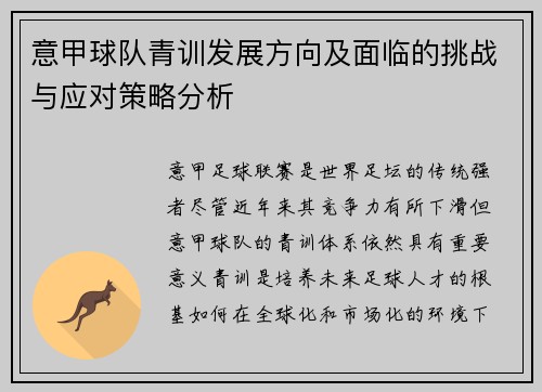 意甲球队青训发展方向及面临的挑战与应对策略分析