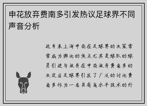 申花放弃费南多引发热议足球界不同声音分析